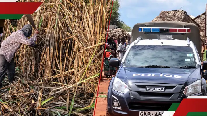 Kisumu: Decomposing Body of Form 4 Student Discovered in Sugarcane Plantation”