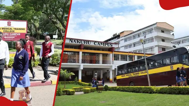 “List of Best C- Courses to Enroll in at KMTC Right Now”